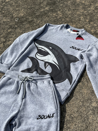 Gray tracksuit Squale